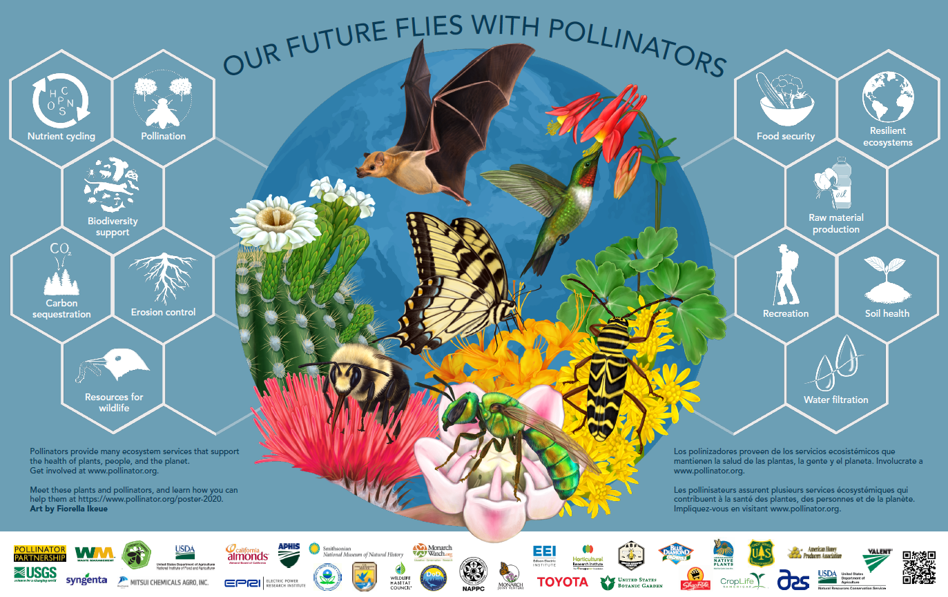Pollinator Poster 2020 
