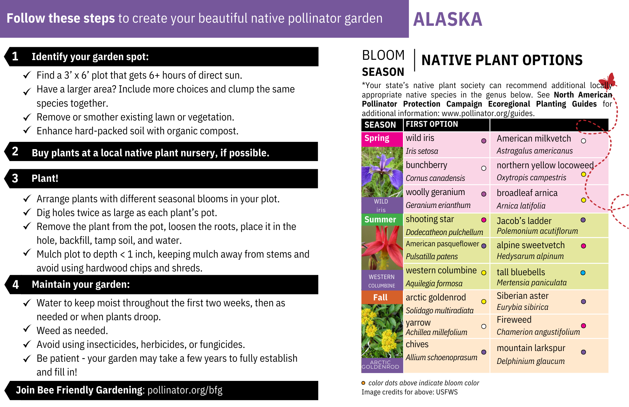 Garden Cards | Pollinator.org