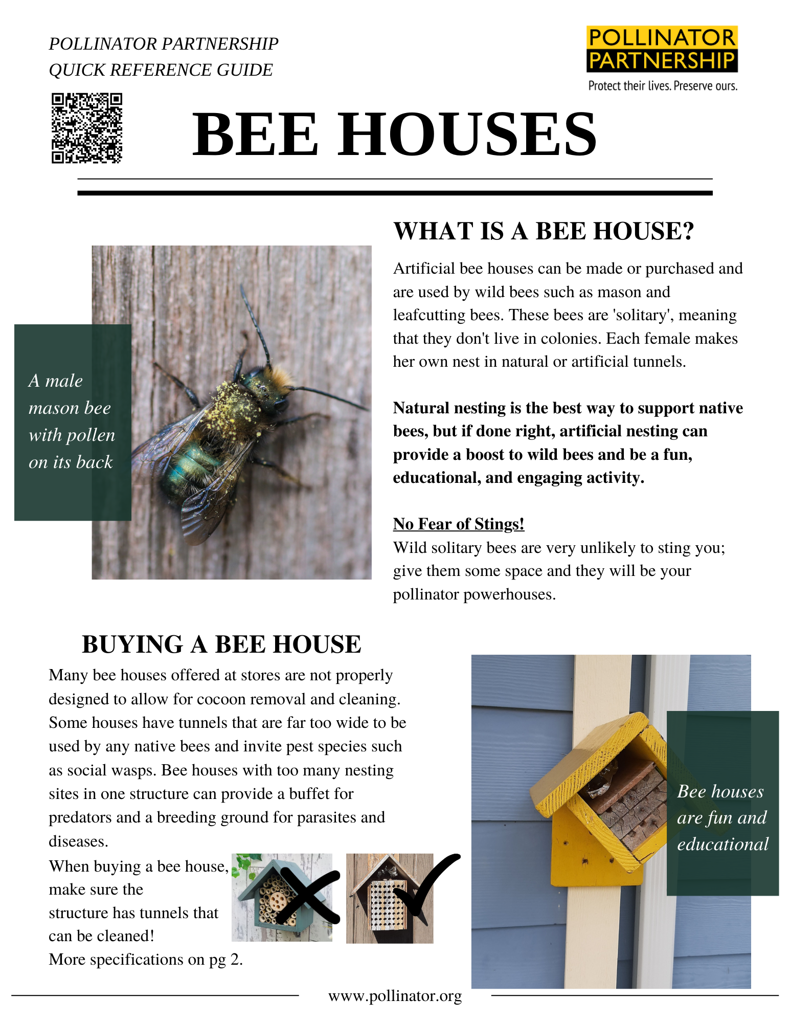 Best Mason Bee Kits With Bees (2024): Top Picks & Reviews
