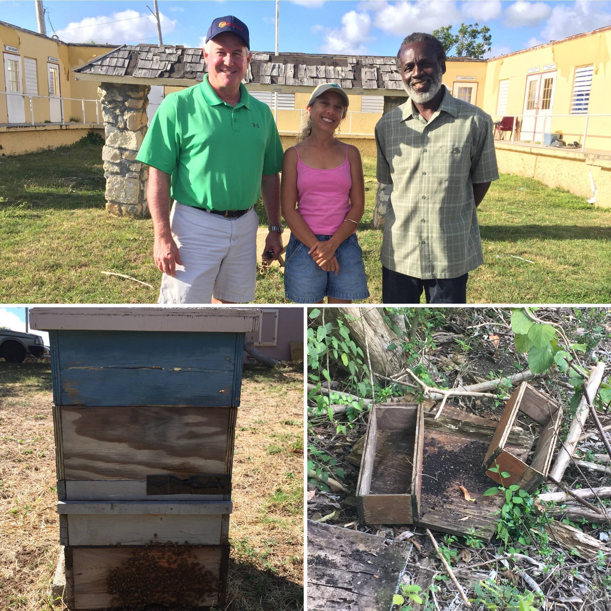 Caribbean Bee Rescue Campaign Blog | Pollinator.org
